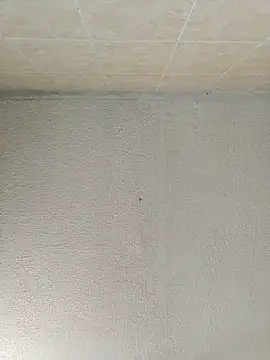 Snapshot of boobsTaylor chatting on September 21, 6:53 pm boobsTaylor online show from September 21, 6:53 pm