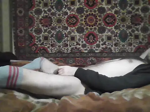 AlferezzSolvajo online show from November 27, 8:44 pm