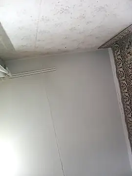 Snapshot of Lauren_Amabel chatting on November 12, 8:30 pm Lauren Amabel online show from November 12, 8:30 pm