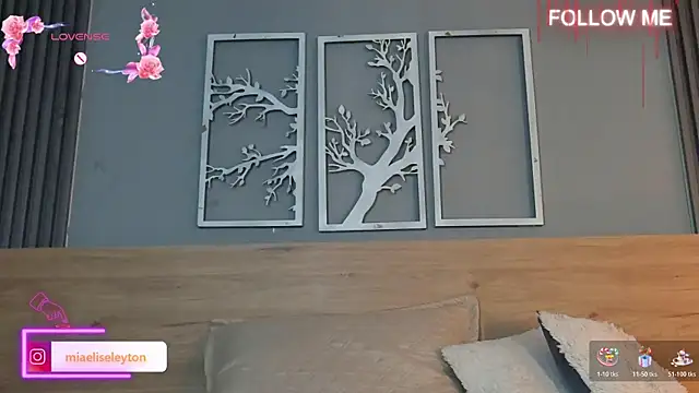 Snapshot of Elise-Leyton chatting on April 30, 8:57 pm Elise-Leyton online show from April 30, 8:57 pm