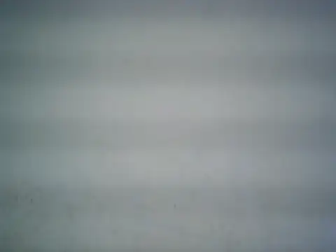 michel1520 online show from June 15, 5:48 pm