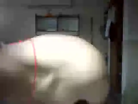 Snapshot of venom26 chatting on September 14, 9:52 am venom26 online show from September 14, 9:52 am