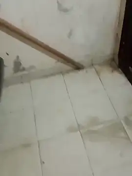 Jinenez online show from February 26, 8:37 am