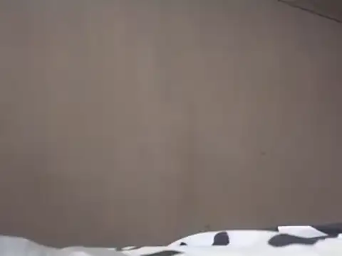 Snapshot of Chandy012 chatting on March 19, 1:18 pm Chandy012 online show from March 19, 1:18 pm