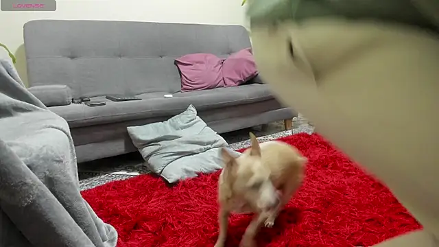 Salvatore costa online show from September 19, 12:34 am