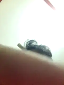 Snapshot of Marvelous_Piyush chatting on March 6, 8:19 am Marvelous Piyush online show from March 6, 8:19 am