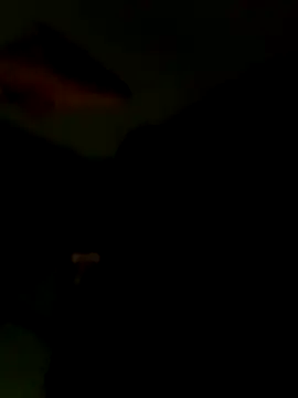 Snapshot of Raj41 chatting on January 15, 6:44 pm Raj41 online show from January 15, 6:44 pm