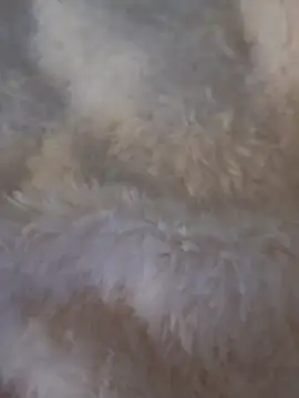 feketedemon36 online show from January 25, 4:57 pm