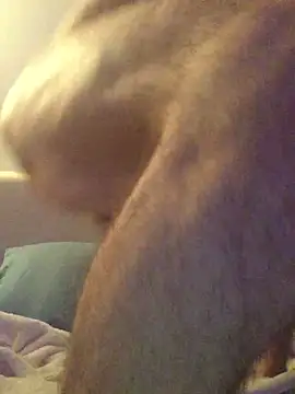 Pilote19 online show from December 1, 5:51 pm