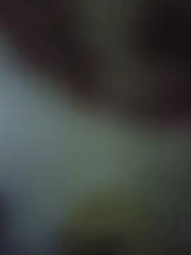 Snapshot of randit7 chatting on November 10, 4:22 am randit7 online show from November 10, 4:22 am