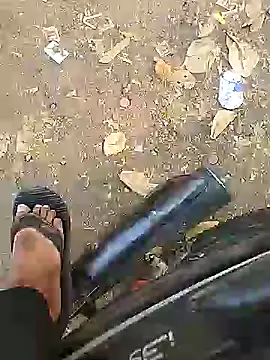 Playboy bhabhi 00 online show from February 10, 11:04 am