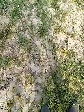 xmanrawan2 online show from March 14, 11:34 am