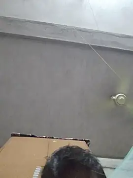 birds0641 online show from October 12, 5:56 pm