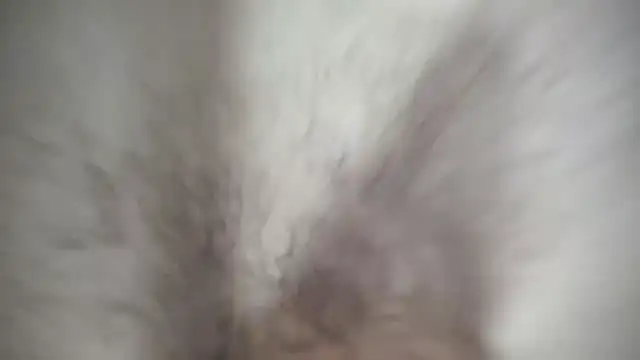 Ivyrose4999 online show from January 12, 5:11 pm