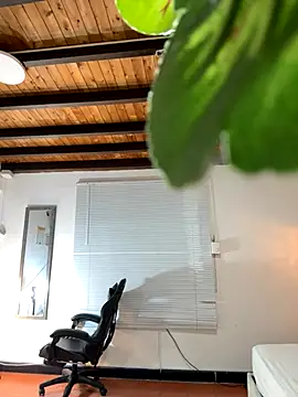 Hadley  online show from December 3, 3:14 am