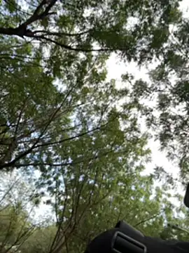 arevalo1124 online show from December 2, 9:10 pm