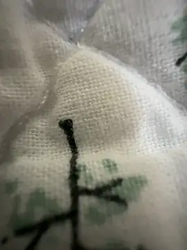 Snapshot of sissyboijamie1313 chatting on February 28, 8:54 pm sissyboijamie1313 online show from February 28, 8:54 pm