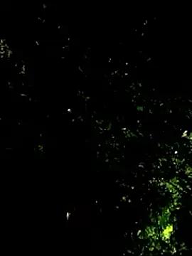 beatle666 online show from January 19, 4:16 am