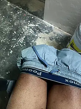 omni 333 online show from February 5, 2:54 pm