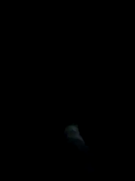 dominationmybigdick online show from March 27, 11:15 pm
