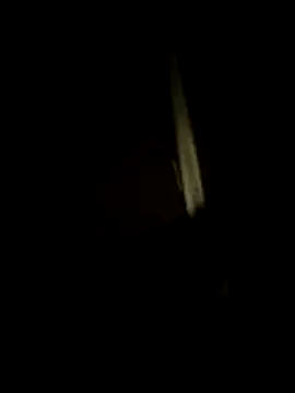 dominationmybigdick online show from July 17, 10:47 pm