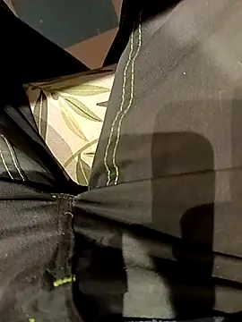 Snapshot of Dam70 chatting on November 15, 5:49 am Dam70 online show from November 15, 5:49 am