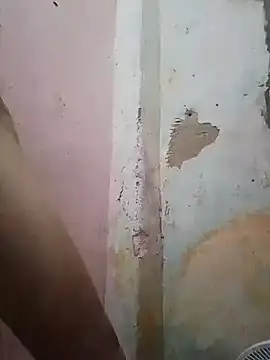 shuelldin online show from February 13, 11:50 am