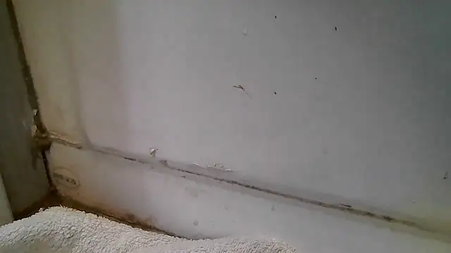 Snapshot of ShysluutGia chatting on December 15, 11:47 am ShysluutGia online show from December 15, 11:47 am