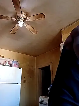 Snapshot of birdg chatting on November 12, 6:41 pm birdg online show from November 12, 6:41 pm