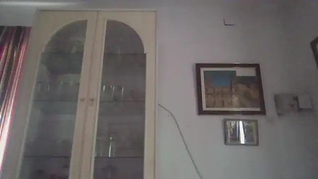 llopaco online show from November 17, 12:11 pm