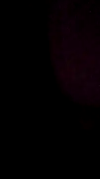 salchichon 69 online show from March 11, 8:31 am