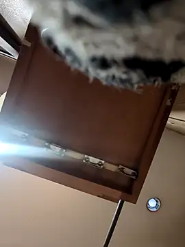 Snapshot of QueenM3 chatting on March 11, 12:44 am QueenM3 online show from March 11, 12:44 am