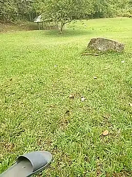 Mycansonhot online show from October 23, 4:50 pm