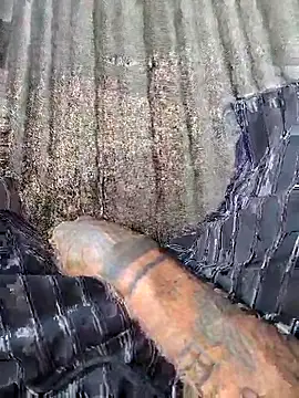 vertin07 online show from November 14, 5:33 pm