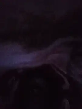 Snapshot of lilpip chatting on July 5, 10:50 pm lilpip online show from July 5, 10:50 pm