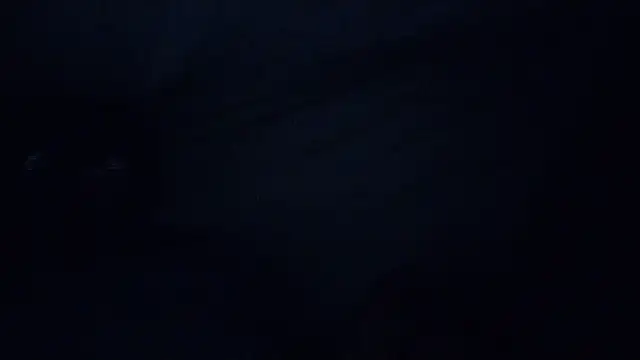 Mrpito7878 online show from March 8, 2:40 pm