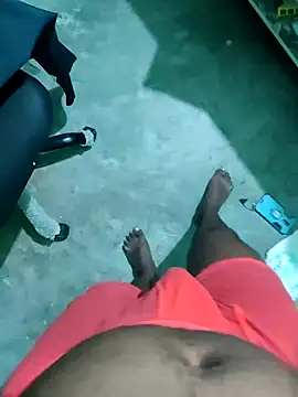 wildfun  online show from February 24, 4:04 pm