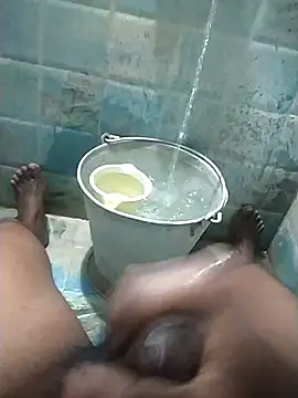 wildfun  online show from February 26, 5:53 am