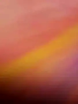 wildfun  online show from November 4, 7:07 am