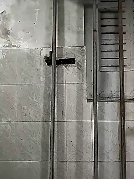 Snapshot of Slvijay chatting on December 15, 5:23 am Slvijay online show from December 15, 5:23 am