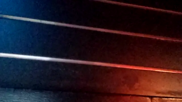 wetnwildforyou online show from October 29, 4:37 am