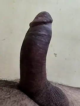 Snapshot of alkhabiir chatting on November 25, 6:08 pm alkhabiir online show from November 25, 6:08 pm