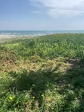 Snapshot of Smallcoco26 chatting on March 7, 9:40 am Smallcoco26 online show from March 7, 9:40 am