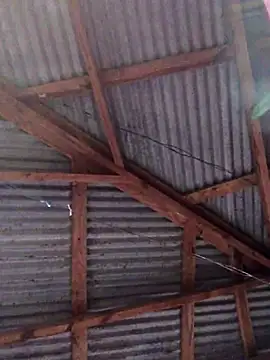 Snapshot of Ladyzee25 chatting on November 26, 9:05 pm Ladyzee25 online show from November 26, 9:05 pm