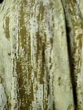 mens weakness online show from November 2, 6:49 am