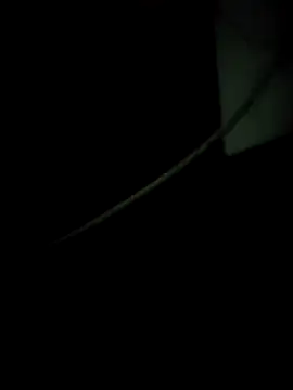 enoc369 online show from December 4, 8:12 am