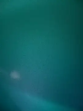 Neha-Bhabhi-Rasily online show from December 2, 10:31 am