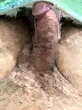 Iliase online show from November 15, 9:17 am