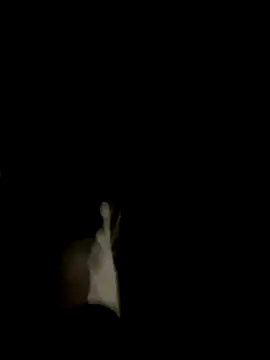 Snapshot of Dasul_ chatting on October 11, 7:07 am Dasul online show from October 11, 7:07 am