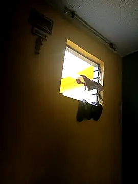 Snapshot of Ariana_Rodriguez chatting on October 6, 12:02 pm Ariana Rodriguez online show from October 6, 12:02 pm